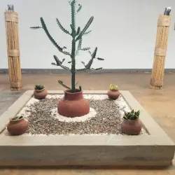 Gulu University Botanical Gardens - Gulu