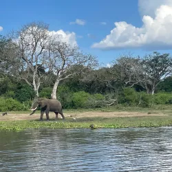 Murchison Falls National Park (nearby) - Gulu