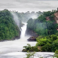 Murchison Falls National Park (nearby) - Gulu