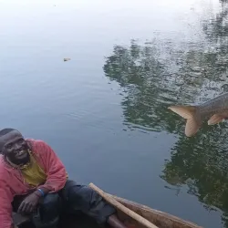 Bujagali Falls - Jinja