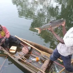 Bujagali Falls - Jinja