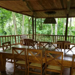 Mabira Forest Reserve - Jinja