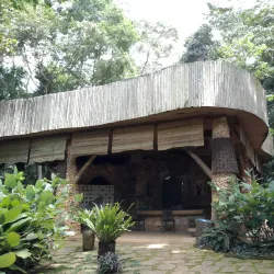 Mabira Forest Reserve - Jinja