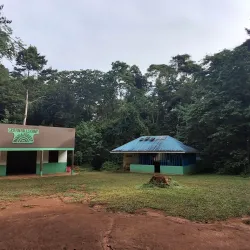 Mabira Forest Reserve - Jinja