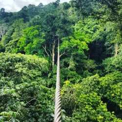 Mabira Forest Reserve - Jinja