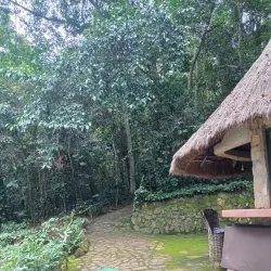 Mabira Forest Reserve - Jinja