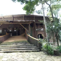 Mabira Forest Reserve - Jinja