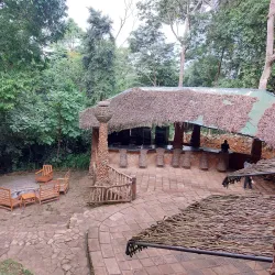 Mabira Forest Reserve - Jinja