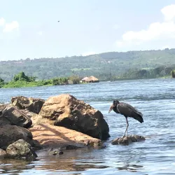 Source of the Nile - Jinja