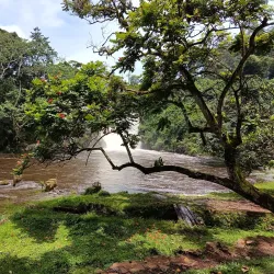 Ssezibwa Falls - Jinja