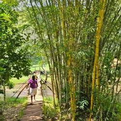 Ssezibwa Falls - Jinja