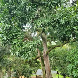 Ssezibwa Falls - Jinja