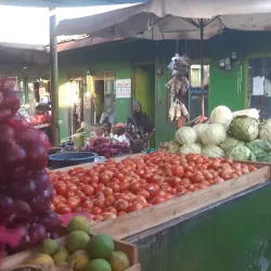 Kajansi Market - Kajansi