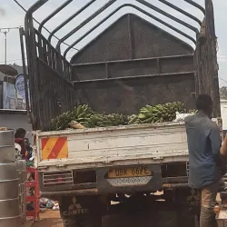 Kajansi Market - Kajansi