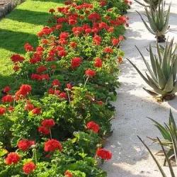 Kajansi Wetlands - Kajansi