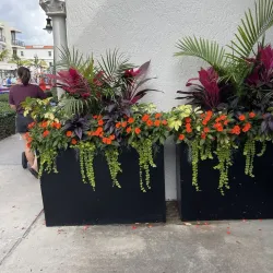 Kajansi Wetlands - Kajansi