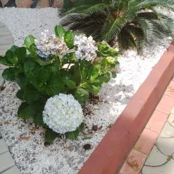 Kajansi Wetlands - Kajansi