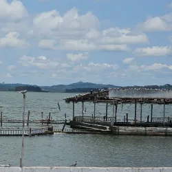 Lake Victoria Shoreline near Kajansi - Kajansi