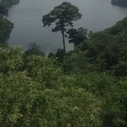 Local Community Cultural Experiences - Kajansi