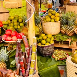 Local Farms and Agricultural Tours - Kajansi