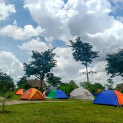 Local Farms and Agricultural Tours - Kajansi