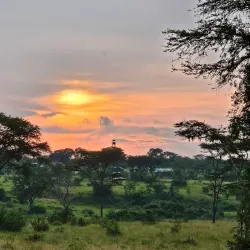 Ishasha Sector of Queen Elizabeth National Park - Kasese