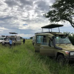 Ishasha Sector of Queen Elizabeth National Park - Kasese