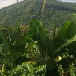 Kilembe Mines - Kasese