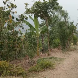 Nyakalengija Hot Springs - Kasese