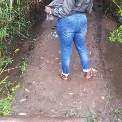 Nyakalengija Hot Springs - Kasese