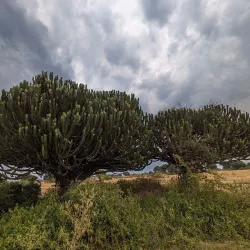 Queen Elizabeth National Park - Kasese