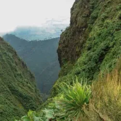 Rwenzori Mountains Botanical Gardens - Kasese
