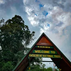 Rwenzori Mountains Botanical Gardens - Kasese