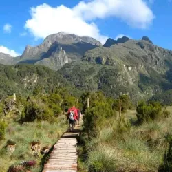 Rwenzori Mountains National Park - Kasese