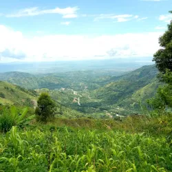 Rwenzori Mountains National Park - Kasese