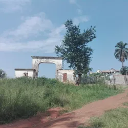 Ankole Cattle Ranches - Mbarara