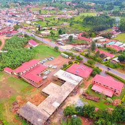 Ankole Cattle Ranches - Mbarara