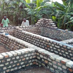 Ankole Cattle Ranches - Mbarara