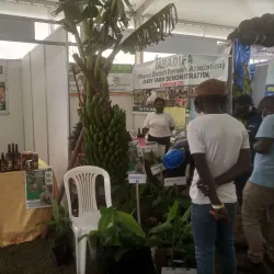 Kakyeka Stadium - Mbarara