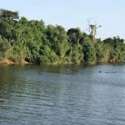Lake Mburo National Park - Mbarara