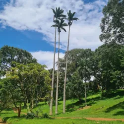 Entebbe Botanical Gardens - Namasuba