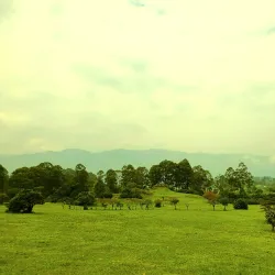 Local Cultural Experiences - Namasuba