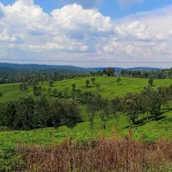 Local Cultural Experiences - Namasuba