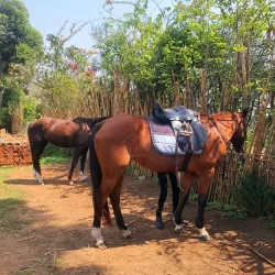 Local Cultural Experiences - Namasuba