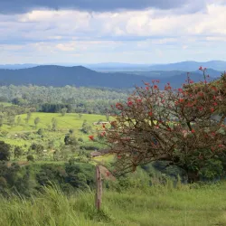 Local Cultural Experiences - Namasuba