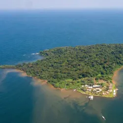 Ngamba Island Chimpanzee Sanctuary - Namasuba