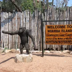Ngamba Island Chimpanzee Sanctuary - Namasuba