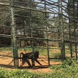 Uganda Wildlife Education Centre (Entebbe Zoo) - Namasuba