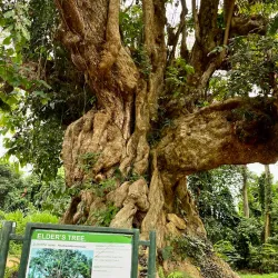 Uganda Wildlife Education Centre (Entebbe Zoo) - Namasuba
