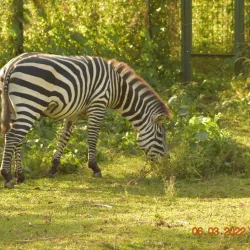 Uganda Wildlife Education Centre (Entebbe Zoo) - Namasuba